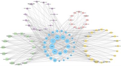 In silico evidence implicating novel mechanisms of Prunella vulgaris L. as a potential botanical drug against COVID-19-associated acute kidney injury